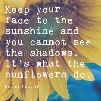Image result for sunflowers quotes